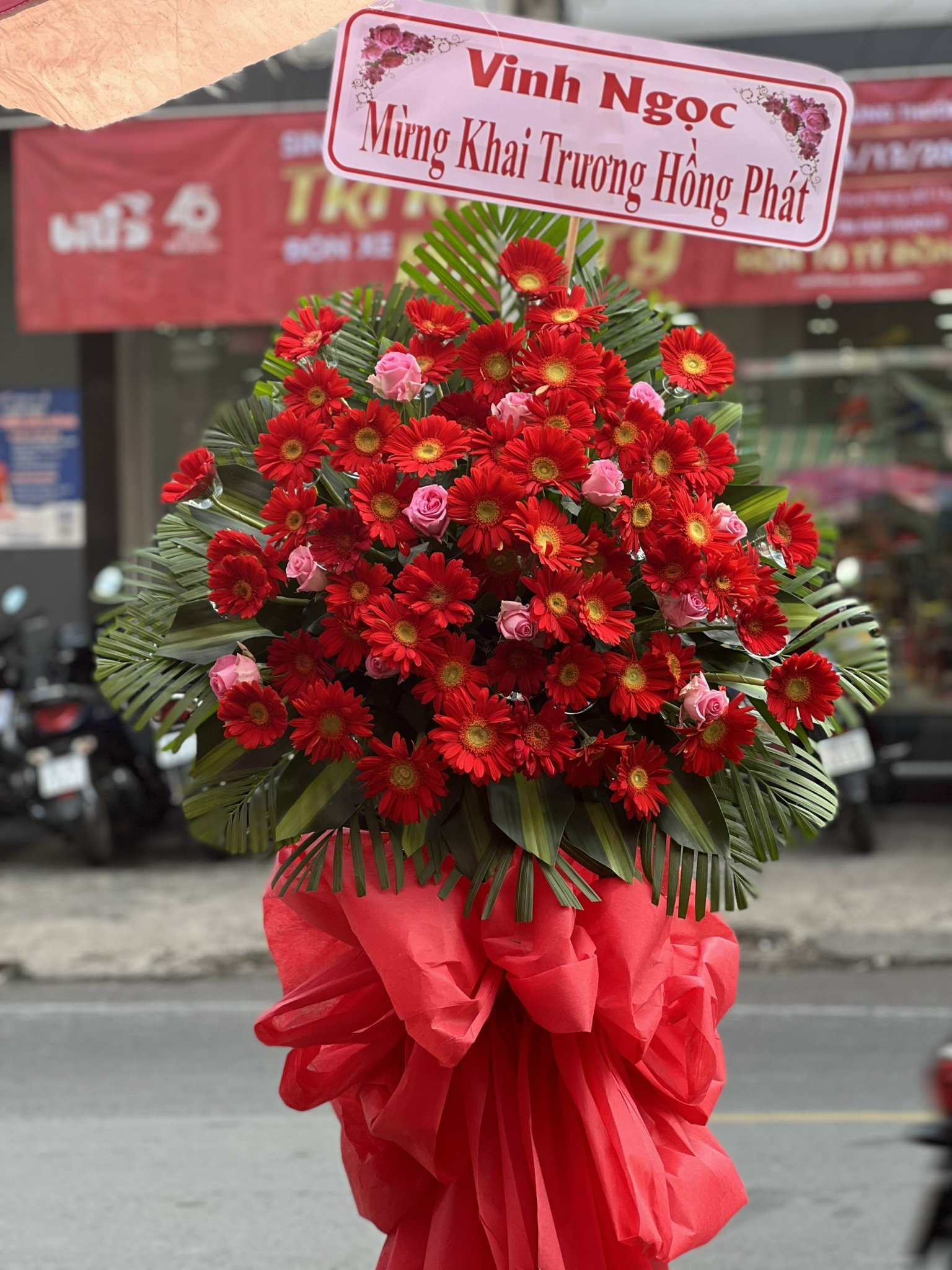 lẵng hoa khai trương 1 tầng đồng tiền, ly vàng