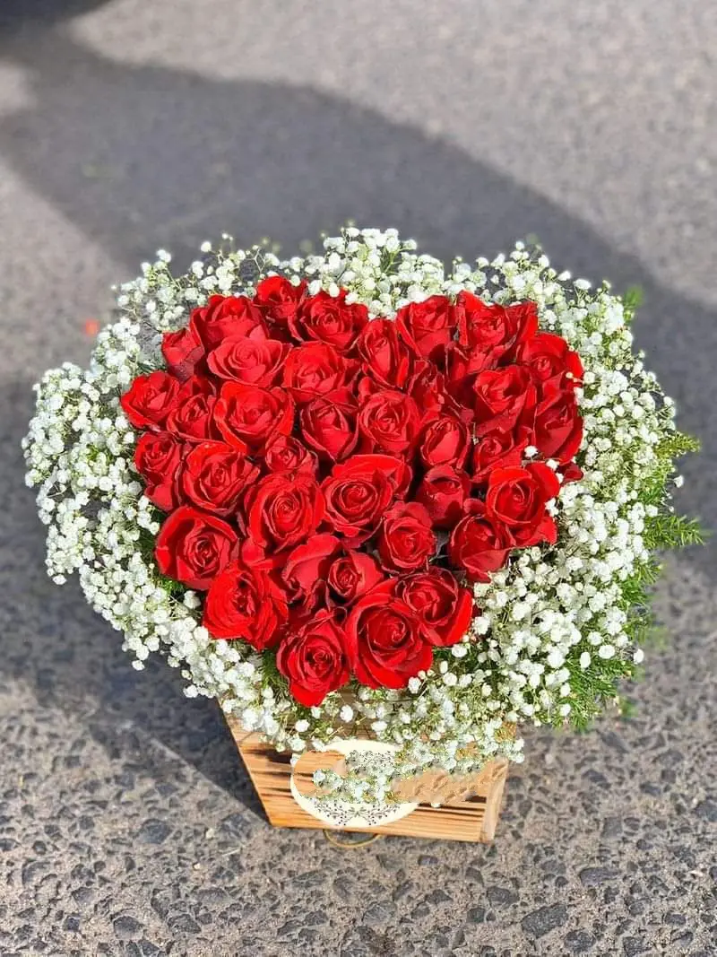 Hoa Giỏ 1223
