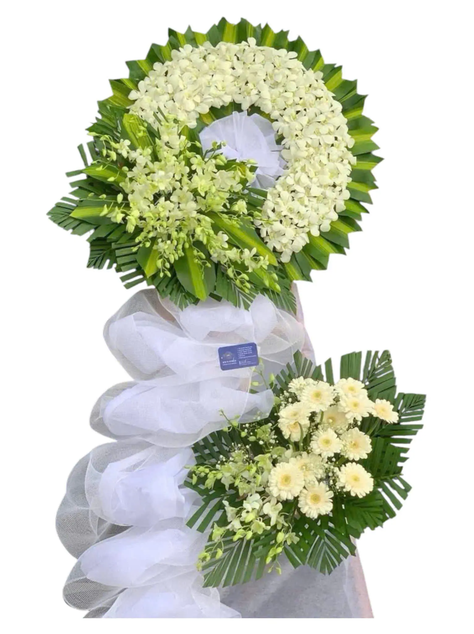 Chiếc Lá Rơi